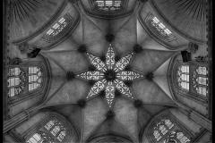 Burgos Cathedral Ceiling Detail by Vince Sparks - C