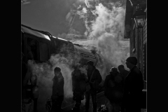 Steam and Spectators by David Bailey - HC