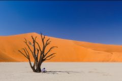 Sussosvlei - Dead Vlei by Kevin Blake - 16 Points