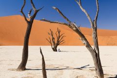 Dead Vlei by Kevin Blake - Very Highly Commended