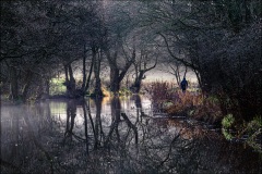 Macclesfield Canal [Walk] by Martin Pickles  - Highly Commended