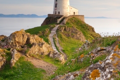 Sundown at Llanddwyn Lighthouse by Sarah Cattermole - HC